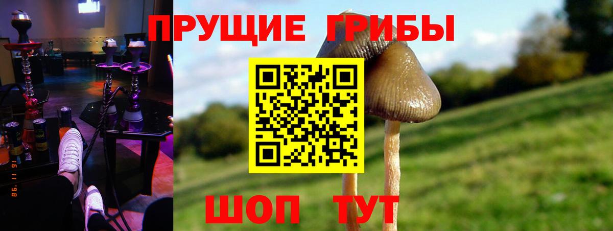 Псилоцибиновые грибы прущие грибы Новосибирск
